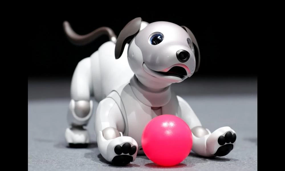 Γυναίκα στις ΗΠΑ βγάζει βόλτα τον ρομποτικό της σκύλο